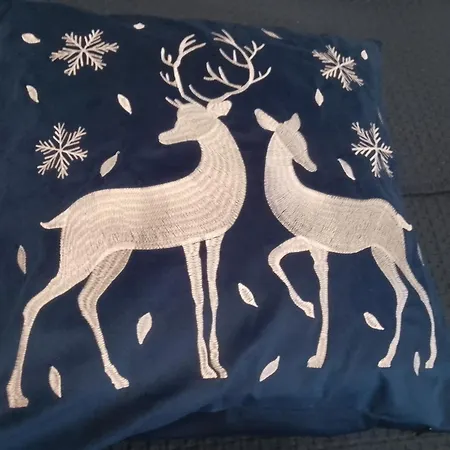 Daire Niebieski Lwowska 56